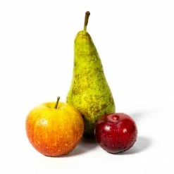 4-5ft Mini Orchard Fruit Tree Collection | Apple, Pear & Plum 8 4-5ft Mini Orchard Fruit Tree Collection | Apple, Pear & Plum -primrose shop TRCOL05 add image 1 ac3c