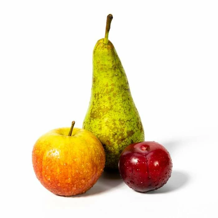 4-5ft Mini Orchard Fruit Tree Collection | Apple, Pear & Plum 3 4-5ft Mini Orchard Fruit Tree Collection | Apple, Pear & Plum - Image 3