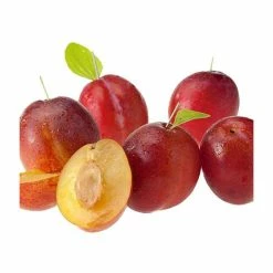 4-5ft Mini Orchard Fruit Tree Collection | Apple, Pear & Plum 10 4-5ft Mini Orchard Fruit Tree Collection | Apple, Pear & Plum -primrose shop TRCOL05 add image 3 6586