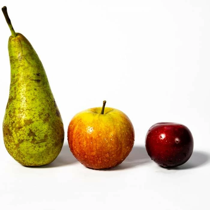 4-5ft Mini Orchard Fruit Tree Collection | Apple, Pear & Plum 2 4-5ft Mini Orchard Fruit Tree Collection | Apple, Pear & Plum - Image 2